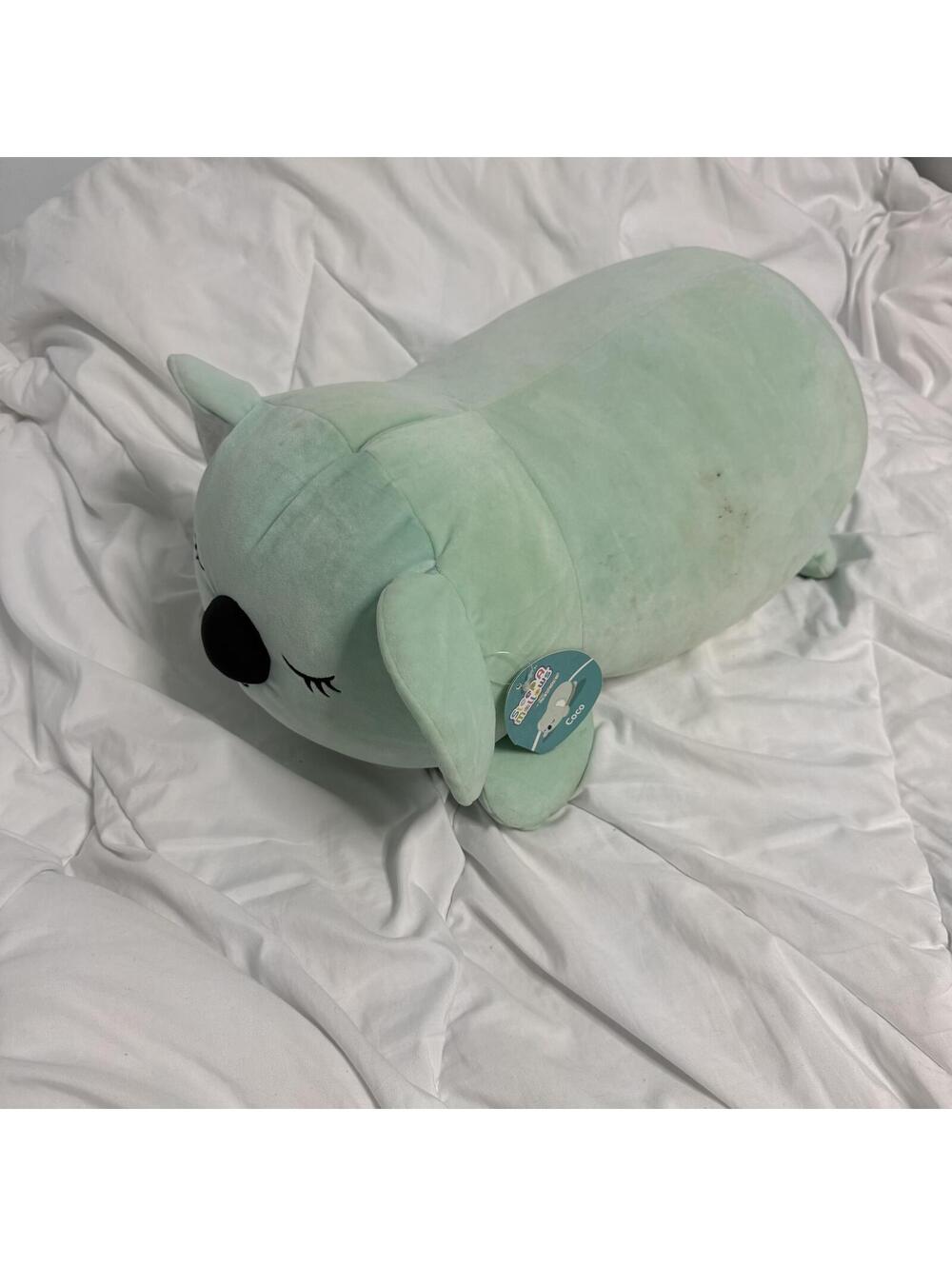 Squishmallows Sleepamallows Coco the Mint Green Koala 18"